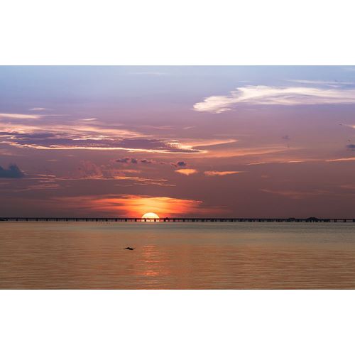 Haddad, Sheila 아티스트의 The sun rising behind the Skyway Bridge stunning purple sky and reflection on the Gulf of Mexico작품입니다.